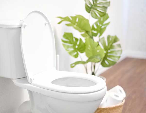 New Toilet Replacement New Toilet Replacement